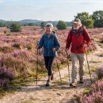 De Wandelstok-Status: Die subtiele overgang van een hip wandelstokje naar volwaardige Nordic Walking-poles waarmee je de lokale hei onveilig maakt. De Wandelstok-Status: Die subtiele overgang van een hip wandelstokje naar volwaardige Nordic Walking-poles waarmee je de lokale hei onveilig maakt.